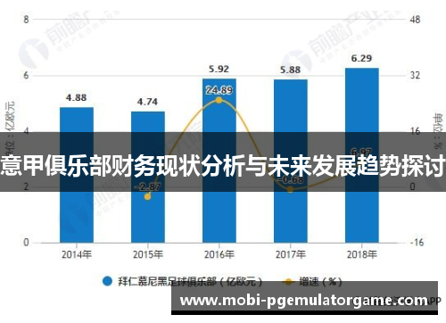 意甲俱乐部财务现状分析与未来发展趋势探讨