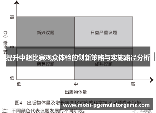 提升中超比赛观众体验的创新策略与实施路径分析