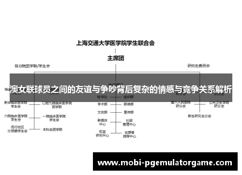 澳女联球员之间的友谊与争吵背后复杂的情感与竞争关系解析