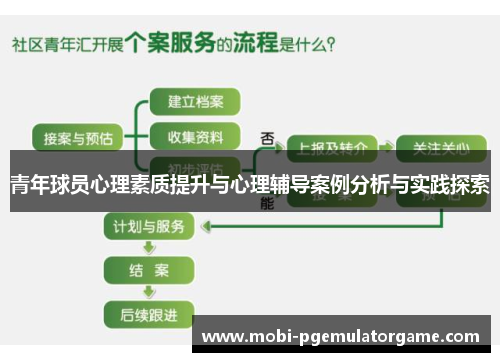 青年球员心理素质提升与心理辅导案例分析与实践探索