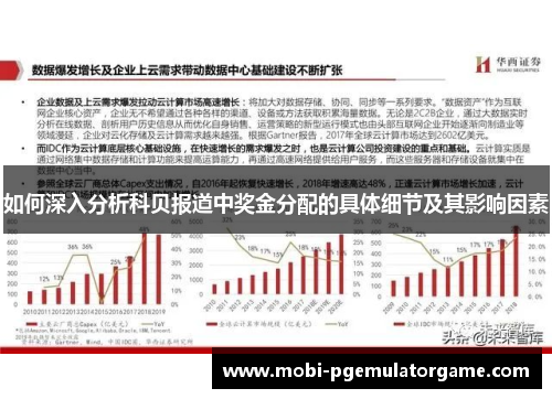 如何深入分析科贝报道中奖金分配的具体细节及其影响因素