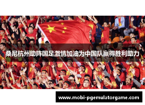 桑尼杭州助阵国足激情加油为中国队赢得胜利助力