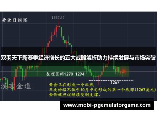 双羽天下新赛季经济增长的五大战略解析助力持续发展与市场突破