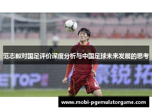 范志毅对国足评价深度分析与中国足球未来发展的思考