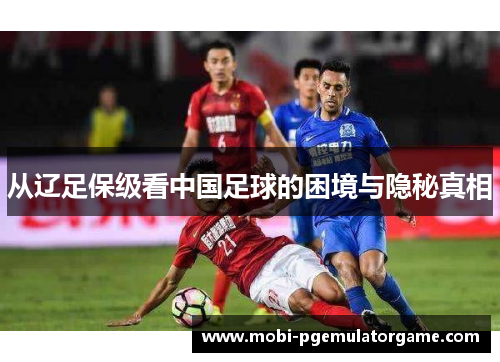 从辽足保级看中国足球的困境与隐秘真相