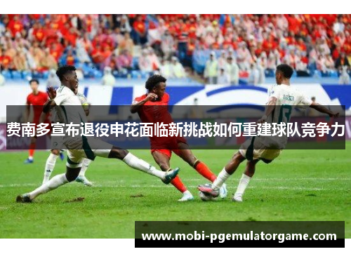 费南多宣布退役申花面临新挑战如何重建球队竞争力