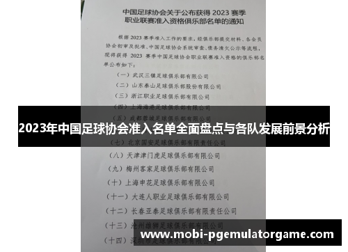 2023年中国足球协会准入名单全面盘点与各队发展前景分析