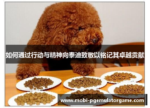 如何通过行动与精神向泰迪致敬以铭记其卓越贡献
