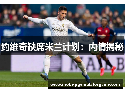 约维奇缺席米兰计划：内情揭秘