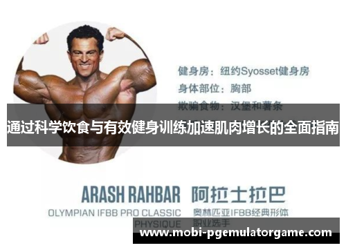 通过科学饮食与有效健身训练加速肌肉增长的全面指南