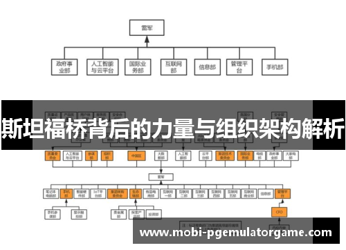 斯坦福桥背后的力量与组织架构解析