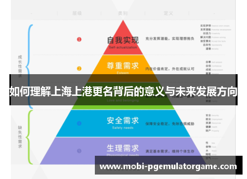 如何理解上海上港更名背后的意义与未来发展方向