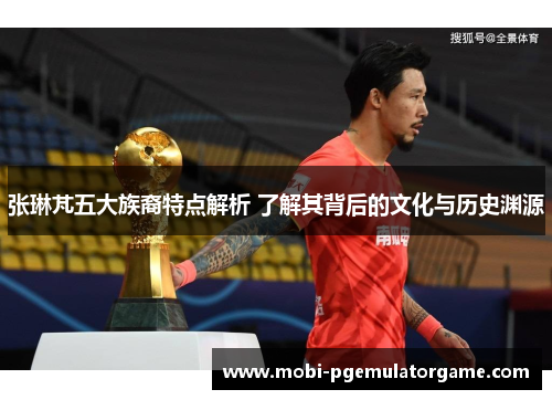 张琳芃五大族裔特点解析 了解其背后的文化与历史渊源