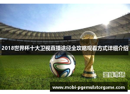 2018世界杯十大卫视直播途径全攻略观看方式详细介绍