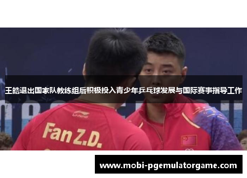 王皓退出国家队教练组后积极投入青少年乒乓球发展与国际赛事指导工作