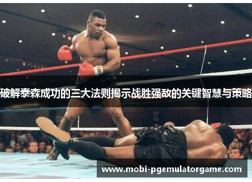 破解泰森成功的三大法则揭示战胜强敌的关键智慧与策略