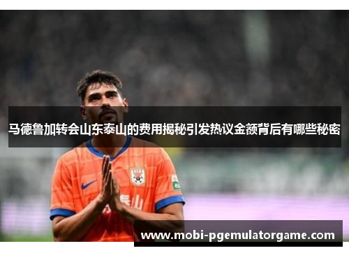 马德鲁加转会山东泰山的费用揭秘引发热议金额背后有哪些秘密