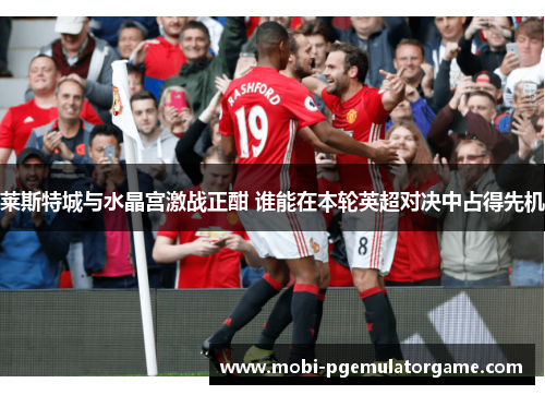 莱斯特城与水晶宫激战正酣 谁能在本轮英超对决中占得先机 莱斯特城与水晶宫激战正酣 谁能在本轮英超对决中占得先机