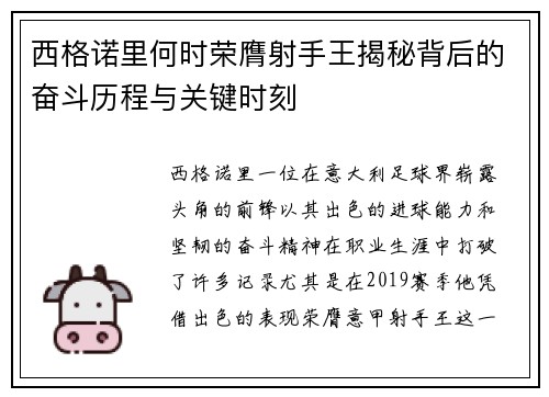 西格诺里何时荣膺射手王揭秘背后的奋斗历程与关键时刻