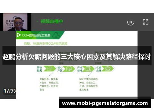 赵鹏分析欠薪问题的三大核心因素及其解决路径探讨