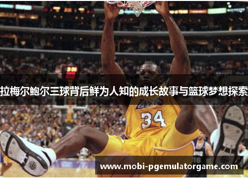 拉梅尔鲍尔三球背后鲜为人知的成长故事与篮球梦想探索