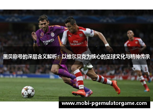 黑贝称号的深层含义解析：以维尔贝克为核心的足球文化与精神传承