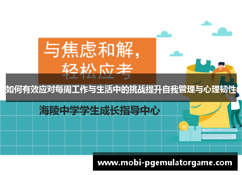 如何有效应对每周工作与生活中的挑战提升自我管理与心理韧性