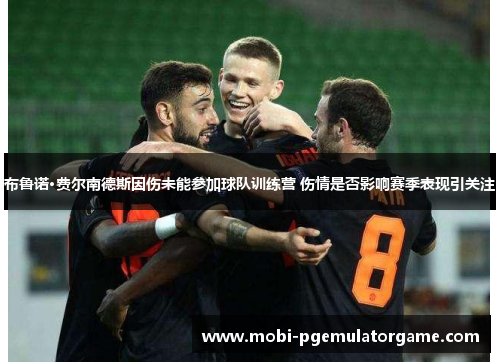 布鲁诺·费尔南德斯因伤未能参加球队训练营 伤情是否影响赛季表现引关注