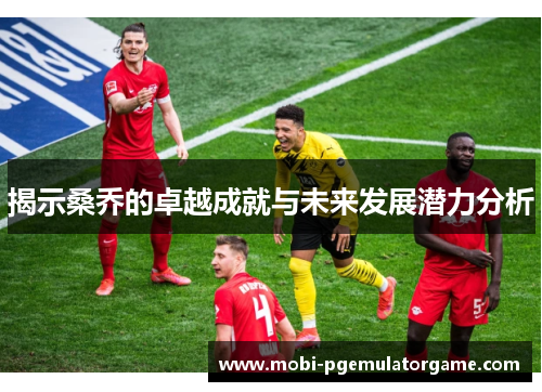 揭示桑乔的卓越成就与未来发展潜力分析