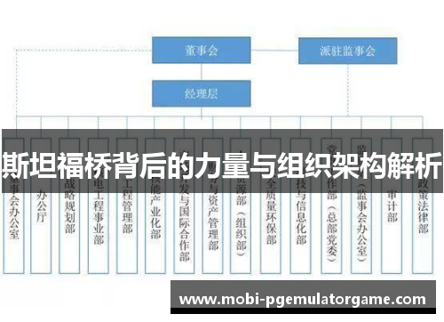 斯坦福桥背后的力量与组织架构解析