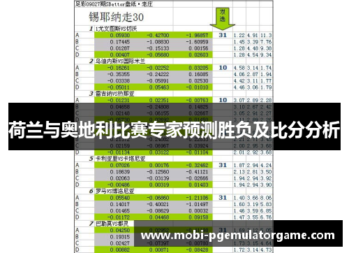 荷兰与奥地利比赛专家预测胜负及比分分析